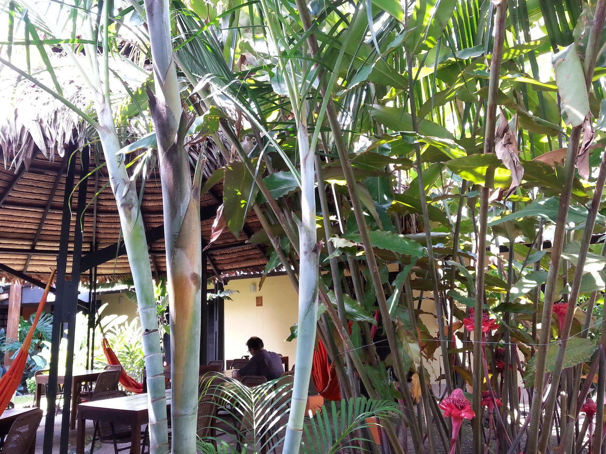 Hotel Amazon Bed And Breakfast Leticia Exterior foto